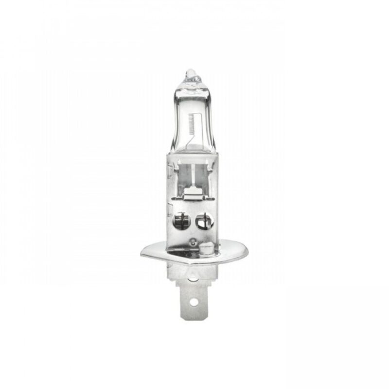 H1 12V 55W GLOBE
