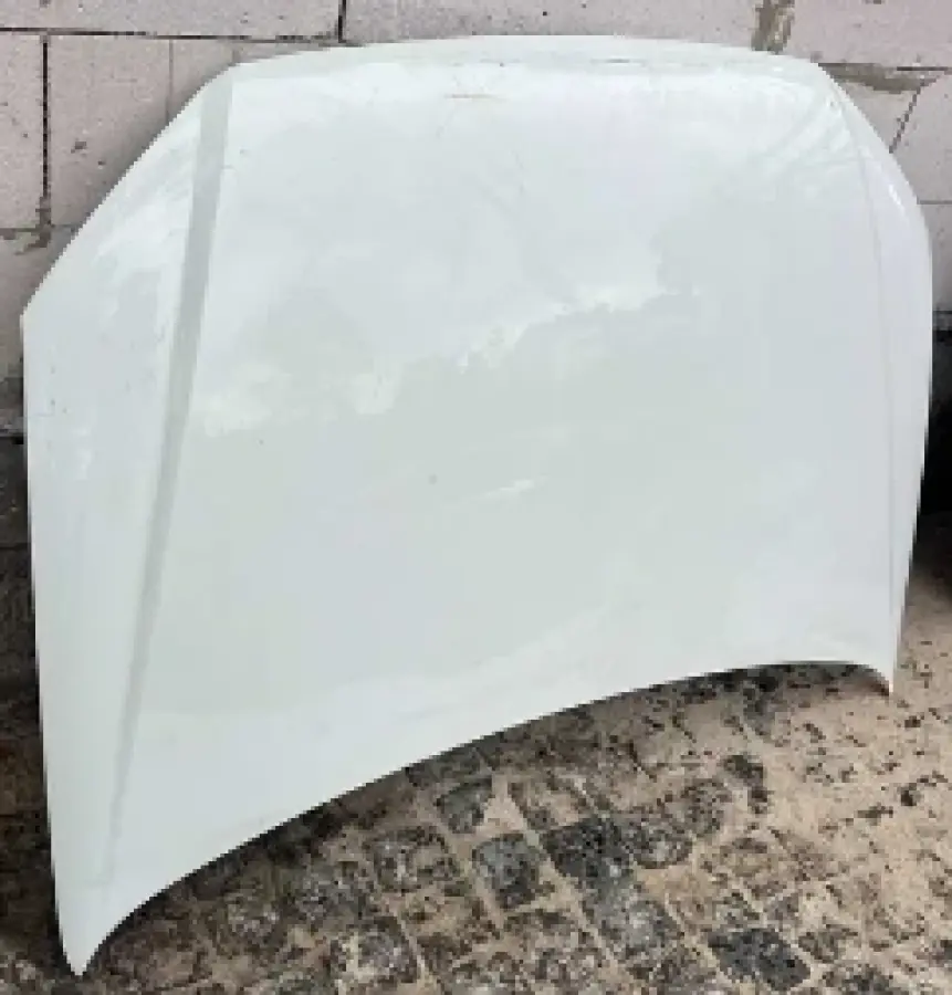 06-17 VW POLO/VIVO BONNET (PAINTED)